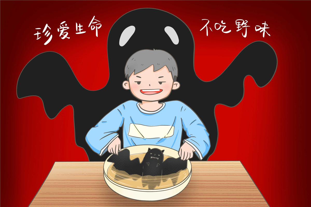 新肺炎宣传,疫情宣传,肺炎,疫情,肺炎宣传,PSD源码