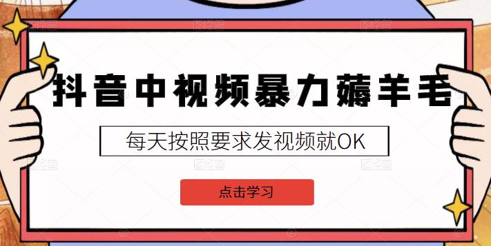 2022抖音中视频暴力薅羊毛白嫖项目:新号每天20块,老号几天几百块,可多号