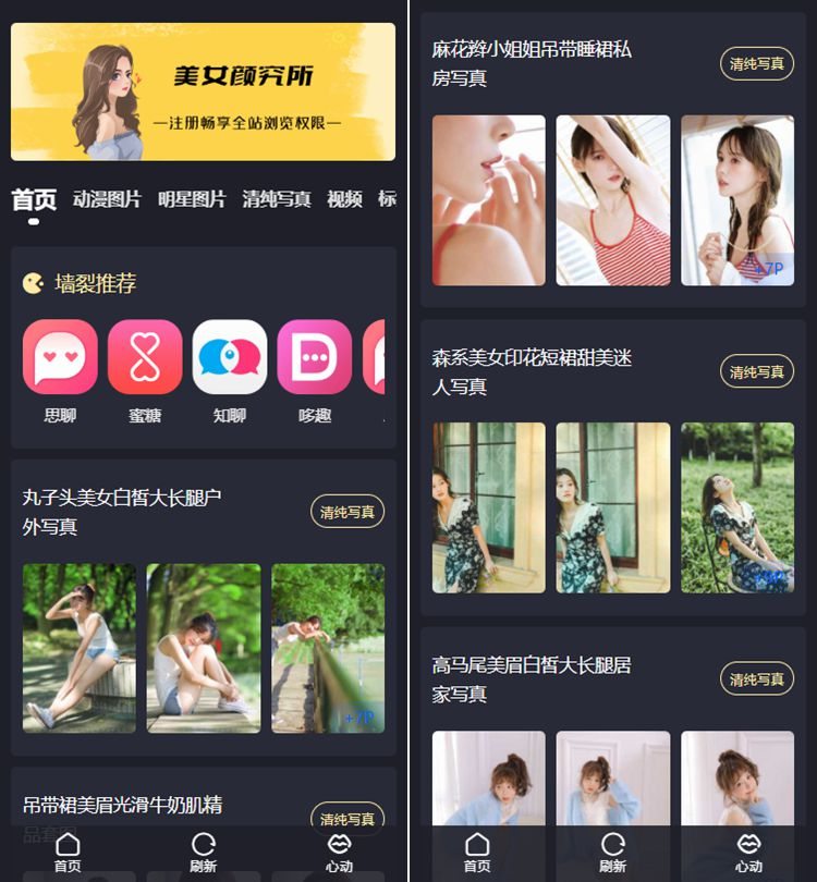 WordPress图片主题模板 仿抖你妹原版主题源码 仿抖音模式套图