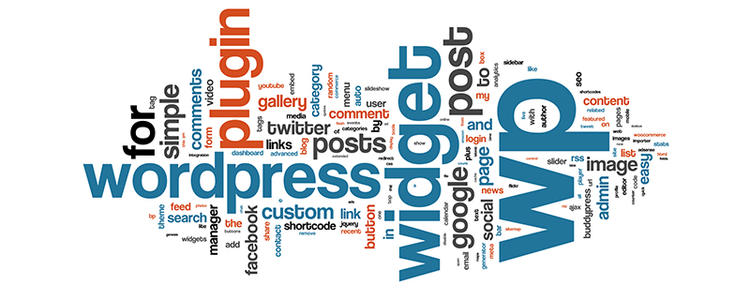 为WordPress网站移除评论 Cookie 复选框方法 WordPress开发教程 第1张-VPSCHE小车博客 为WordPress网站移除评论 Cookie 复选框方法 (https://www.yunsxr.com/) WordPress开发教程 第1张