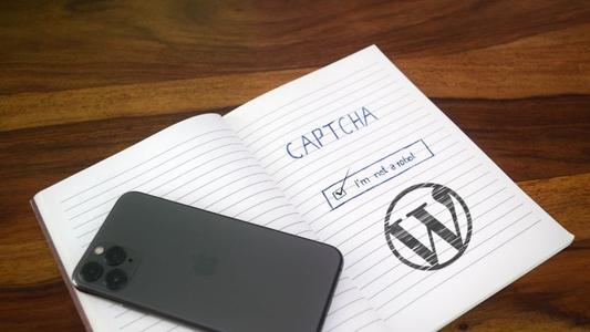 用代码查询WordPress网站浏览量 (https://www.yunsxr.com/) WordPress基础教程 第1张