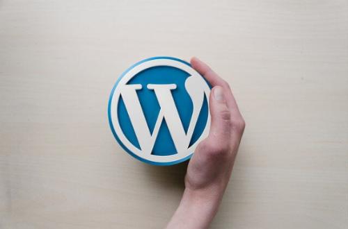 WordPress如何调用热门信息? WordPress基础教程 第1张-VPSCHE小车博客 WordPress如何调用热门信息? (https://www.yunsxr.com/) WordPress基础教程 第1张