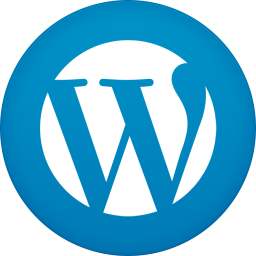 大型WordPress网站遇到卡顿、占资源的解决方案是什么? WordPress基础教程 第1张-VPSCHE小车博客 大型WordPress网站遇到卡顿、占资源的解决方案是什么? (https://www.yunsxr.com/) WordPress基础教程 第1张