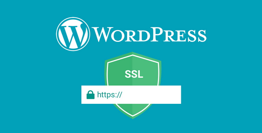 WordPress网站使用SSL的原因是什么? WordPress入门 第1张-VPSCHE小车博客 WordPress网站使用SSL的原因是什么? (https://www.yunsxr.com/) WordPress入门 第1张