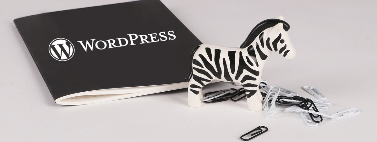 WordPress重定向wp-login.php登录到指定页面教程 WordPress开发教程 第1张-VPSCHE小车博客 WordPress重定向wp-login.php登录到指定页面教程 (https://www.yunsxr.com/) WordPress开发教程 第1张
