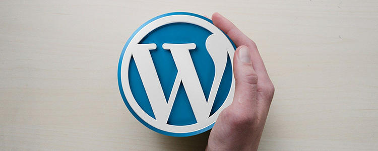 WordPress插入图片使用完整尺寸 WordPress入门 第1张-VPSCHE小车博客 WordPress插入图片使用完整尺寸 (https://www.yunsxr.com/) WordPress入门 第1张