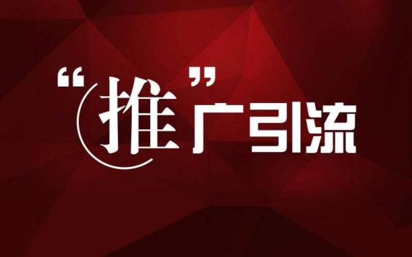 月入10000项目的的引流技巧，普通人操作也可以稳当赚钱