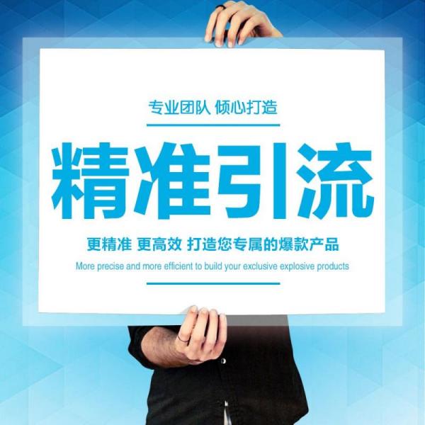 《精准引流课,教你如何日引流1000+》视频课