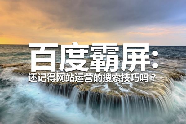 百度霸屏特训营,通过百度霸屏运营赚钱,价值1220元