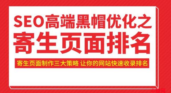 SEO高端黑帽优化之寄生页面排名,制作策略+快速收录排名(视频课)