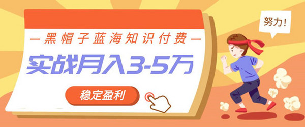 蓝海知识付费众筹项目实战班,持续稳定盈利,实战月入3-5w项目