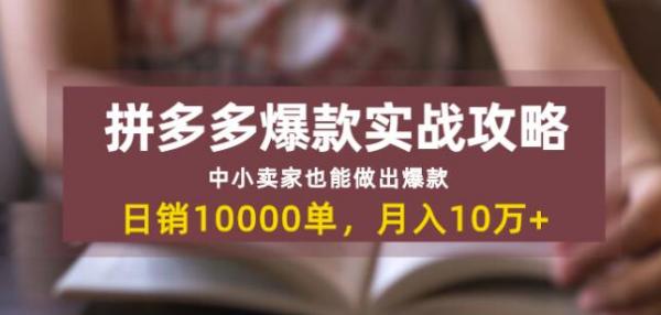 拼多多爆款实战攻略:中小卖家也能做出爆款,日销10000单月入10w+