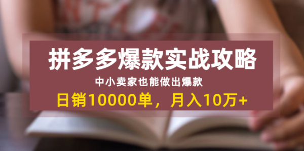 拼多多爆款实战攻略：中小卖家也能做出爆款，日销10000单 月入10w+(无水印)