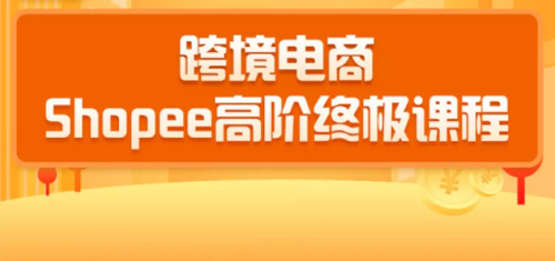 2020跨境电商蓝海新机会-shopee大卖特训营:高阶终极课程(16节课)