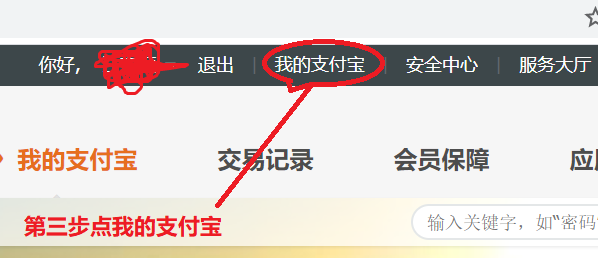 如何查看自己名下有几个支付宝账号