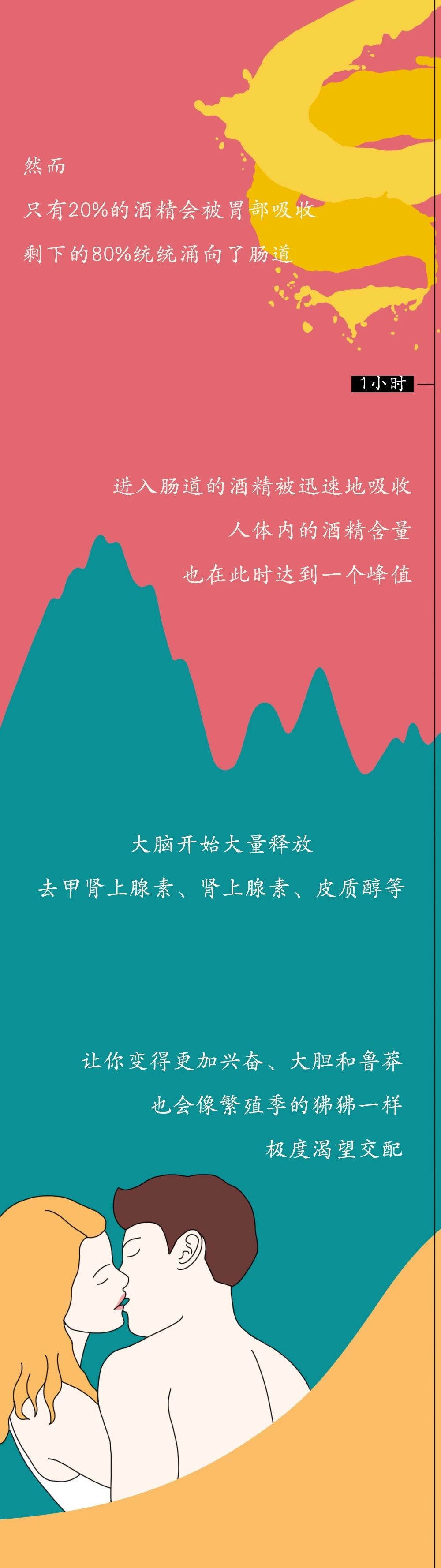 酒精进入体内的24小时