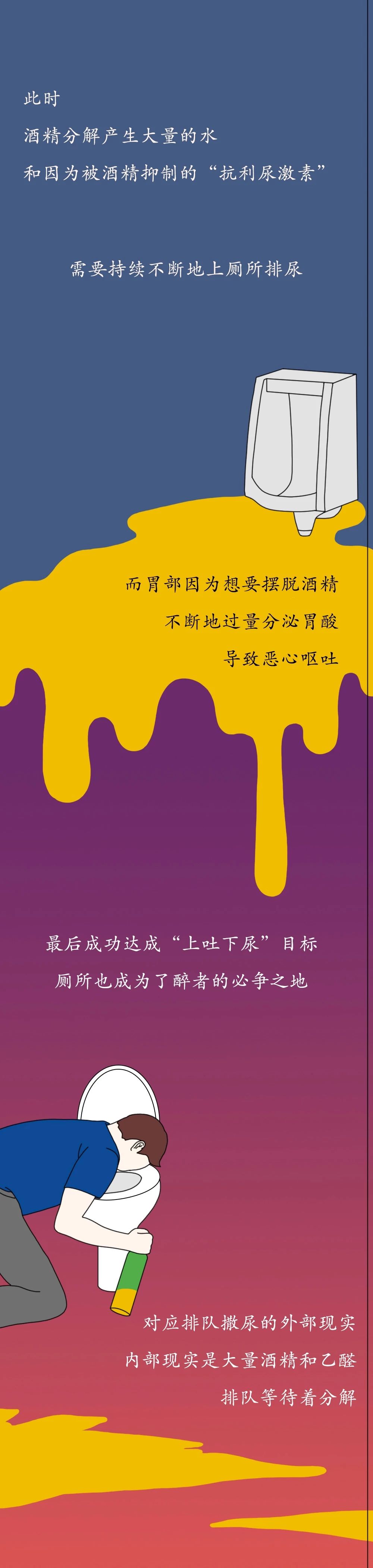 酒精进入体内的24小时