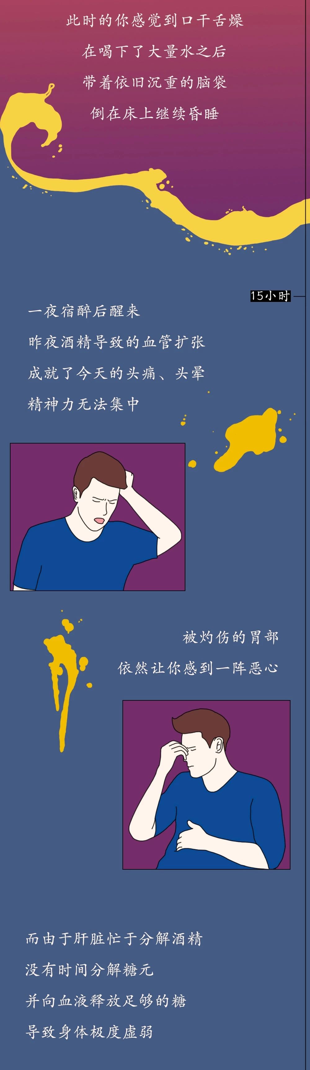 酒精进入体内的24小时