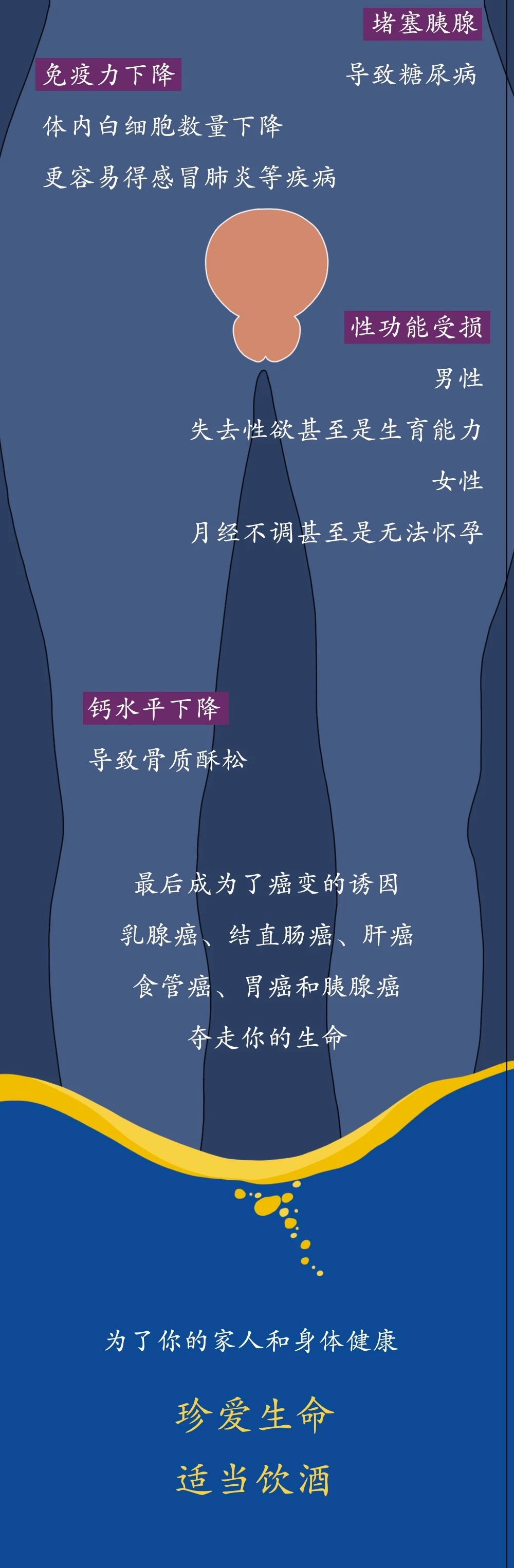 酒精进入体内的24小时