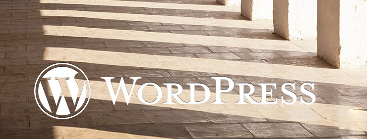 如何修改WordPress默认头像从而更好适应网站风格? WordPress基础教程 第1张-VPSCHE小车博客 如何修改WordPress默认头像从而更好适应网站风格? (https://www.vpsche.com/) WordPress基础教程 第1张