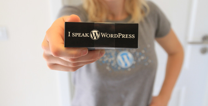 如何屏蔽WordPress后台无用项,从而加快网站速度增加安全性? WordPress基础教程 第1张-VPSCHE小车博客 如何屏蔽WordPress后台无用项,从而加快网站速度增加安全性? (https://www.vpsche.com/) WordPress基础教程 第1张