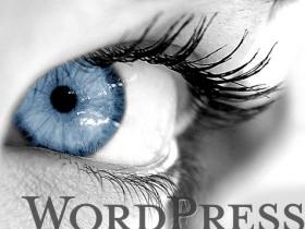 WordPress移除Google字体方法 WordPress基础教程 第1张-VPSCHE小车博客 WordPress移除Google字体方法 (https://www.wpzt.net/) WordPress基础教程 第1张