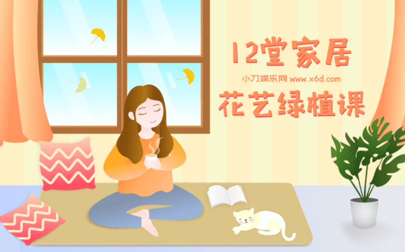 12堂家居花艺绿植课