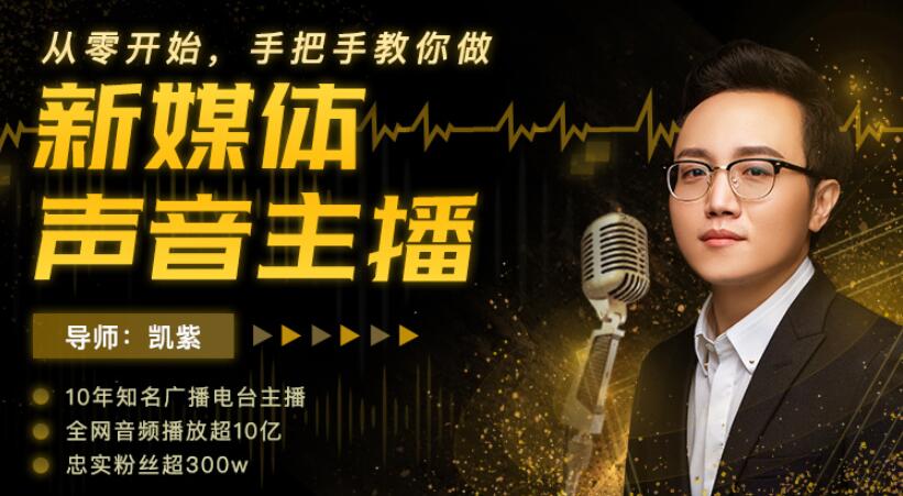 从零开始 教你做新媒体声音主播教程-11节课程