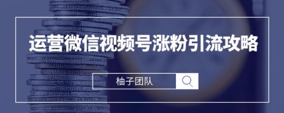 手把手教你运营微信视频号涨粉引流攻略,轻松涨粉10W+【视频课程】