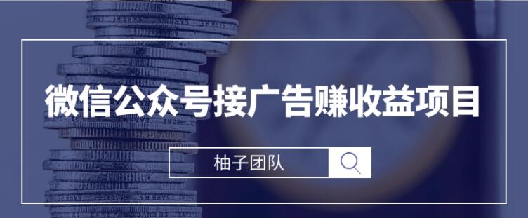 微信公众号接广告赚收益项目,新手零基础也能操作月入万元【视频课程】