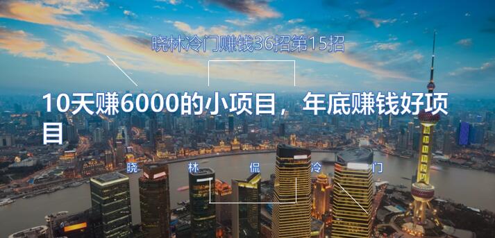 晓林冷门赚钱36招第15招10天赚6000的小项目,年底赚钱好项目【视频课程】