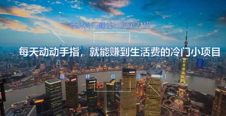 晓林冷门赚钱36招第21招每天动动手指,就能赚到生活费的冷门小项目【视频课程】