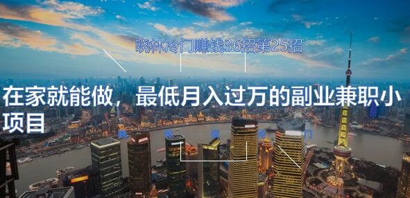 晓林冷门赚钱36招第25招在家就能做,最低月入过万的副业兼职小项目【视频课程】