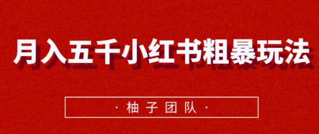 月入五千小红书粗暴赚钱玩法,适合上班族的赚钱副业【视频课程】