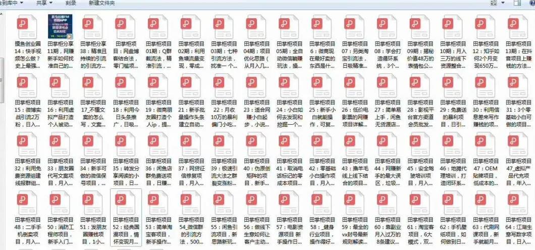 《摸鱼创业圈》2021年最新合集:圈内最新项目和玩法套路,轻松月入N万