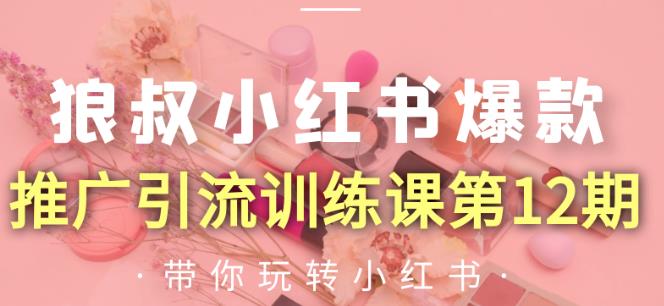 狼叔小红书爆款推广引流训练课第12期,手把手带你玩转小红书