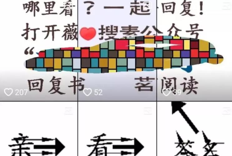 小说分销暴利赚钱项目,日引万粉的另类玩法