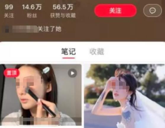 一个简单赚钱项目,自媒体派单月入过万