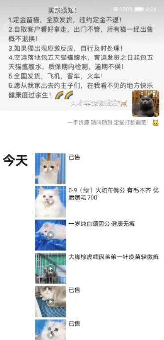 网赚项目:一个闲鱼引流,微信成交的绝对暴利项目!