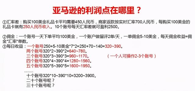 国外跨境电商亚马逊评测项目,月入十万靠谱吗?