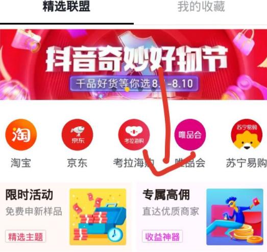 拆解一个抖音上不起眼的暴利网赚项目!