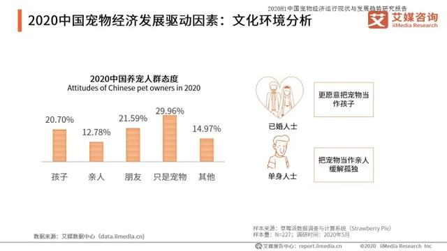 如何打造宠物行业细分领域的暴利项目!