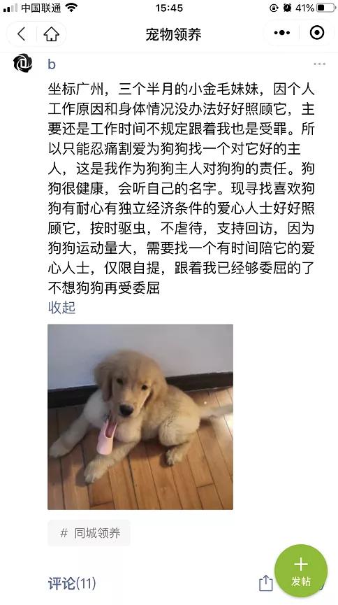 如何打造宠物行业细分领域的暴利项目!
