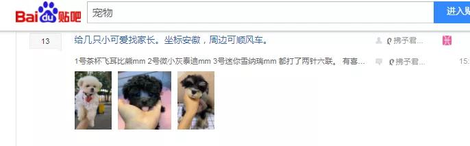 如何打造宠物行业细分领域的暴利项目!