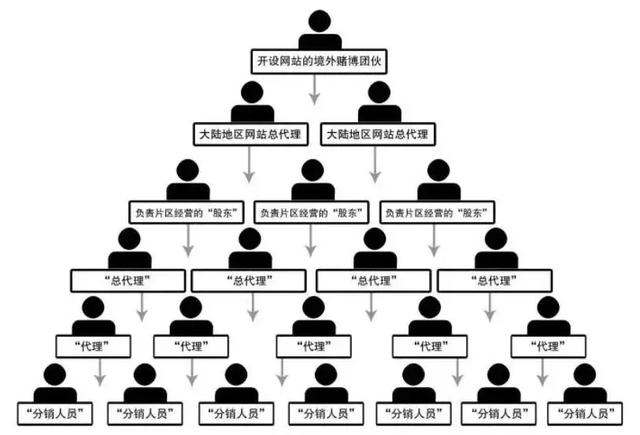 体育直播,竟是月入20万的暴利项目