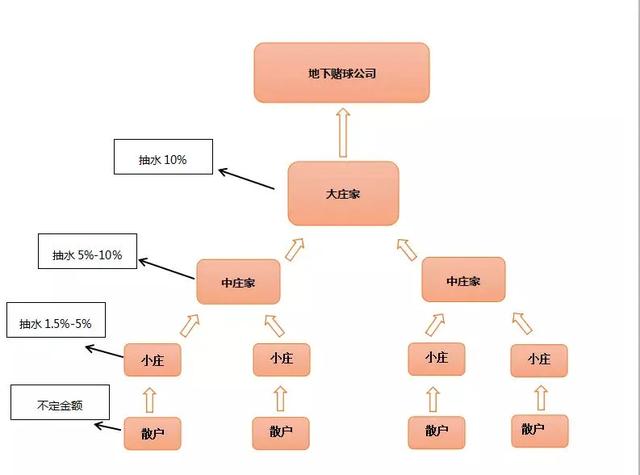 体育直播,竟是月入20万的暴利项目