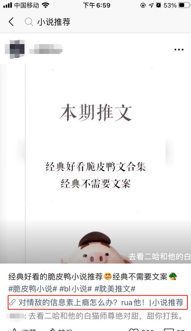 视频号日产1500粉的小说分销项目!老项目新玩法!