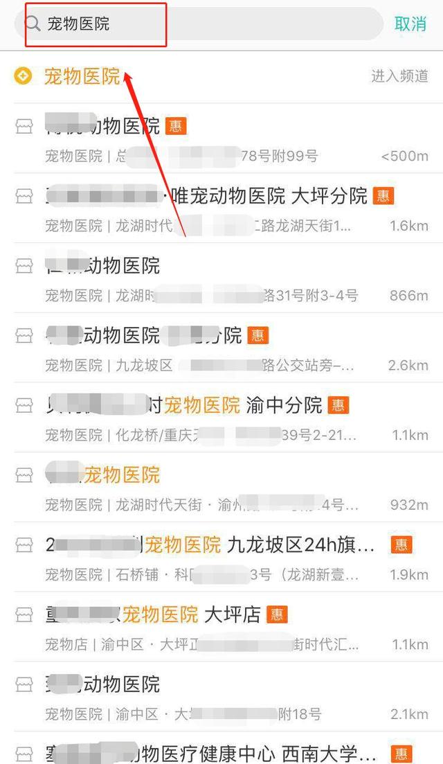 教你出售训狗教程来变现,也能有高收益!