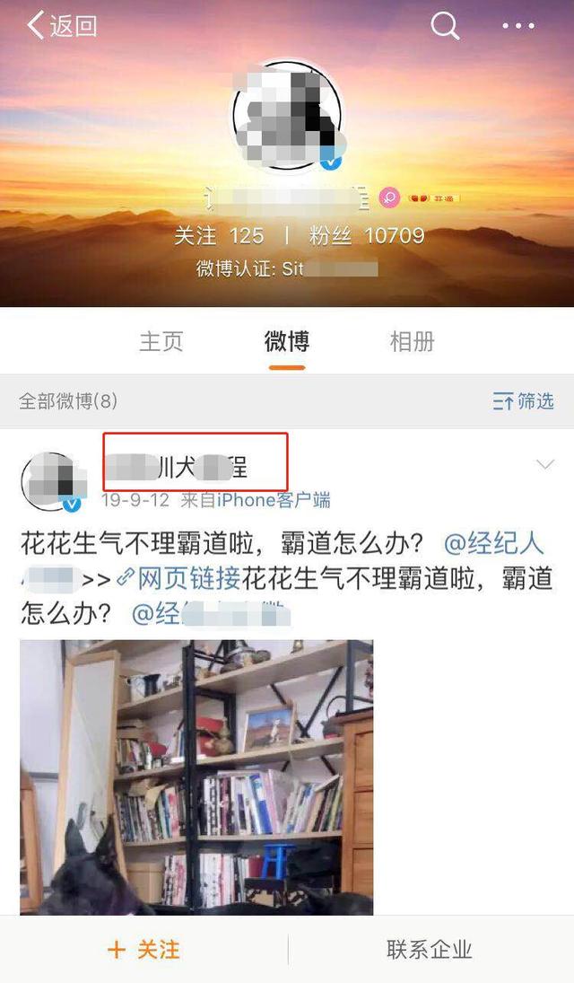 教你出售训狗教程来变现,也能有高收益!