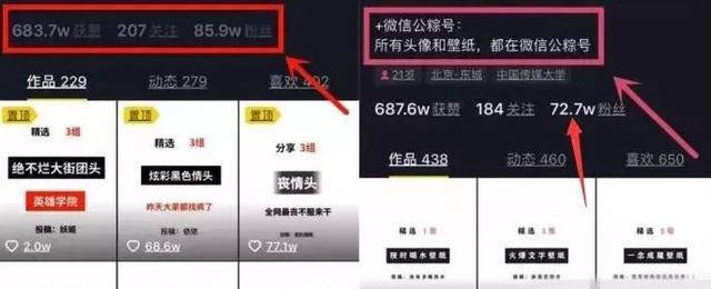 被大众忽略的冷门暴利项目,日入五百